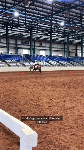 What is the “western riding” class🐴 #westernriding #aqhahorseshow #horseshow #leadchange | Kie