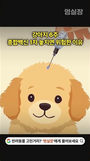 강아지 6주, 종합백신 1차 놓치면 위험한 이유