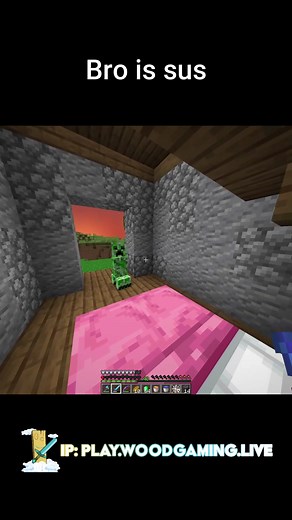 Minecraft server is crazy #minecraft #minecraftmemes #fypシ