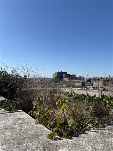 Not to brag, but the Roof Terrace at the National Museum of Scotland is a prime spot for views of Edinburgh **🏙️** But the best bit? Beneath your feet is floors - floors! - of history. There’s thousands of objects on display, themed galleries to mooch around in, and SO much to learn. All for free. Consider your Easter weekend plans sorted ✅ | National Museums Scotland