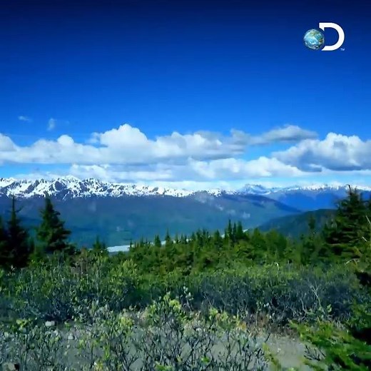 25K views · 17 reactions |  JEU CONCOURS  Tous les jours vous découvrez l'Alaska sur #DiscoveryChannel, aujourd'hui on vous y envoie avec Globe Secret ! Participez sur notre site  https://discoveryfrance.fr/jeuconcours-alaska/ | Discovery France | Facebook