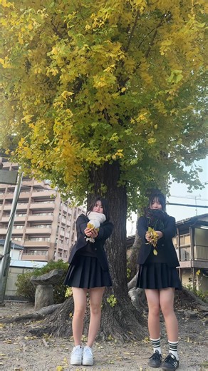 福岡の秋：美しい風景と文化を探訪