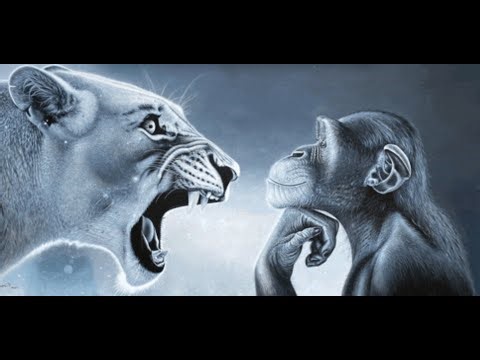 2v2 AR (Me & Connety VS 2 ESP users) | ROBLOX Catastrophia