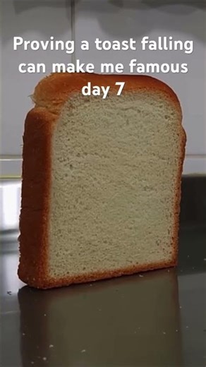 Proving a toast falling can make me famous day 7 #toast #toasteroriginals #toastfallofficial