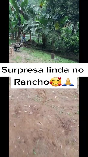 #rancho #ranchodochero