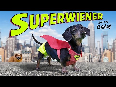 Ep 72: Oakley is SUPERWIENER! - Will he defeat the CAT villain?