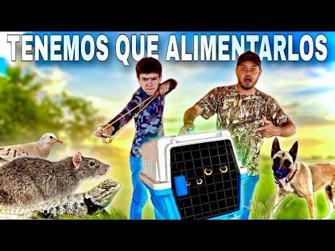 Fuimos de CACERIA con RESORTERA 🎯 Para ALIMENTAR a estos ANIMALES SALVAJES ‼️