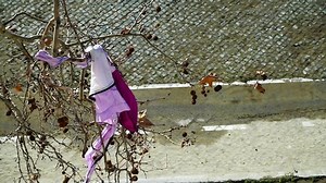 Purple dress stuck between tree branches in the wind seen from above. conceptual image for degradation