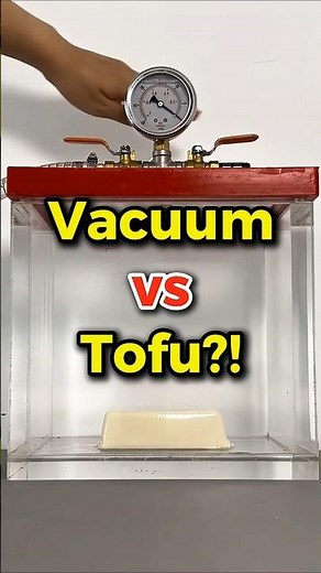 🔥 Vacuum vs Tofu?! 😳(What Happens Inside a Vacuum Chamber?)