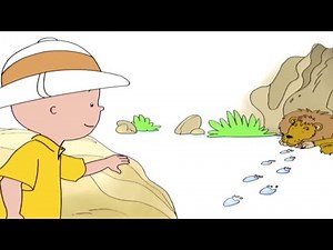 Caillou and the Wild Animals | Caillou Cartoon