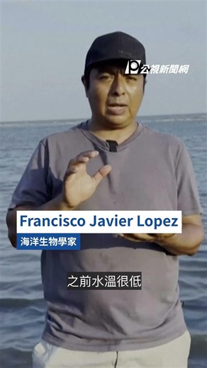 墨西哥數千隻水母被沖上岸 當地漁民超過2週無法出海｜#公視新聞網 #Shorts