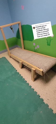 DIY Dog Treadmill: How to Make a Dog-Powered Treadmill at Home