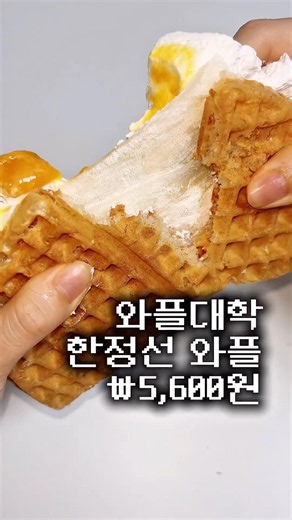 (공유⭕️) 와플대학 쩝쩝박사가 인정한 신메뉴❗️#와플대학 #와플대학신메뉴 #한정선 #신메뉴 #디저트 #후르츠말랑떡요거트스노우와플
