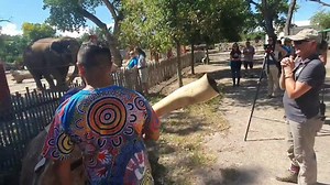 15K views · 491 reactions | Of all the behind the scenes amazing...