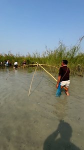 5.1K views · 22 reactions | Traditional Fishing in Village | Fishing & Village Tradition | Facebook