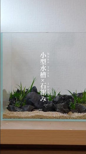 Creating a Nano Iwagumi Aquascape/小型水槽で作る石組みレイアウト 植栽編