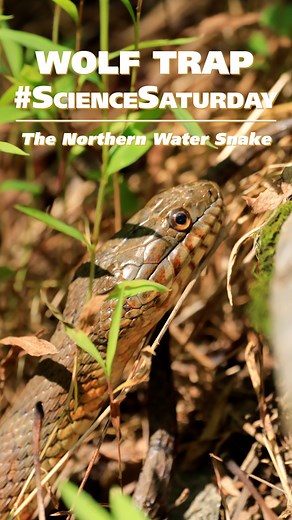 1K views · 29 reactions | Welcome to #ScienceSaturday where we...