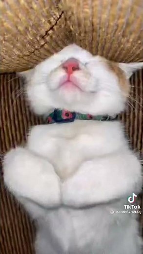 Fart with extra reverb