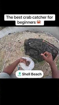 Best crab trap for beginners #fishing #crabing