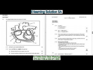 Grade 10 Life Sciences Term 4 | Final Exam Paper 2 of 2025