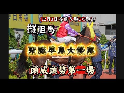 頭威頭勢第一場，《攞胆馬》聖誕早鳥大優惠！3/12谷草八場C+3跑道。