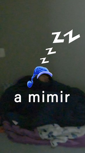 a mimir | RED Canids