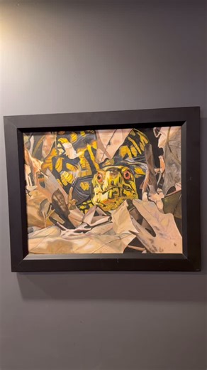 Botanical Plant-Based Fare on Instagram: "Why are box turtles so cool? READ THIS While most turtle species are aquatic, Virginia is home to the primarily terrestrial, or land-dwelling, Woodland (aka Eastern) box turtle. Although they spend time in shallow waters to cool off and soak their shells, they are not strong swimmers. Woodland box turtles are found in many environments, including forests, pastures, shrublands, and residential lawns, with most preferring ecotones -where two habitat types 