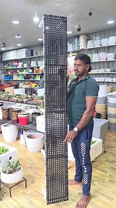 138K views · 727 reactions | INDRA GARDENS PLANTS & POTS SHOP, RADIAL...