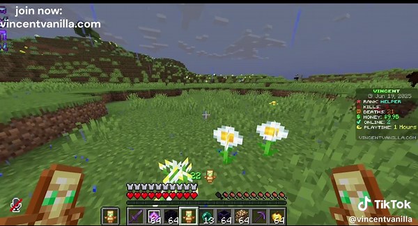 Vincent Vanilla Minecraft Server Launch Announcement