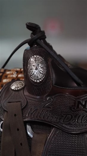 2.5K views · 77 reactions | Bernard Fonck & DG Vincent Van Gun (sired by Colonels Shining Gun) at the IRHA IRHBA NRHA FUTURITY 3YO Open LV4 Go Round⚡️ Owner: @koegler_sarah | COLONELS SHINING GUN | Facebook