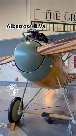 Albatross D.Va #axispowers #aviationhistory #militaryaviation #fighterpilot #shorts