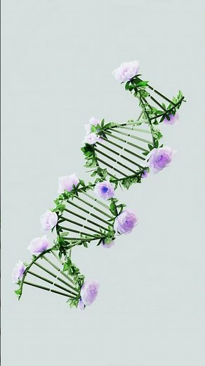 The Double Helix: Understanding DNA with a Simple Diagram #DNA diagram #dna #doublehelix