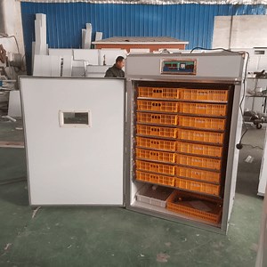[Hot Item] Multi-Functional Chicken Egg Hatcher and Poultry Incubator Machine