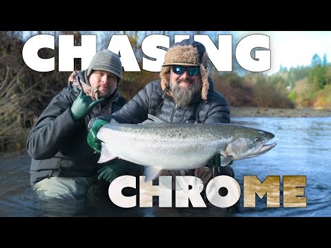 EARLY Winter Steelhead Fishing SUCCESS!