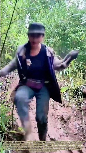 Mudslide Logging: The Gravity-Powered Timber Transport