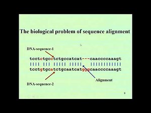 Local and Global sequence alignment 1/2 by Dr Sheikh Arslan Sehgal 27042021