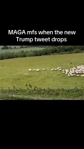 Donald Trump's Latest Twitter Post and Reactions