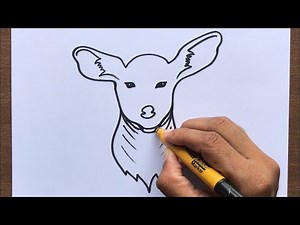 How to Draw a Deer Face