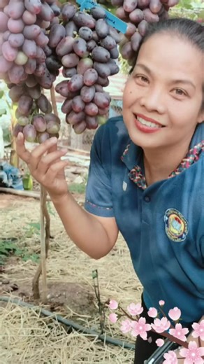 วิดีโอของ wareerat (@wareerat610) พร้อมเพลง เสียงต้นฉบับ - wareerat