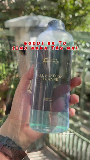 Essential All-Purpose Car Cleaner Tips