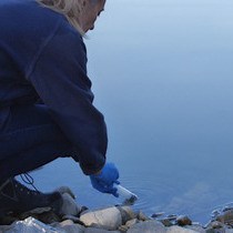 Video: Experimental Protocol for Detecting Cyanobacteria in Liquid and Solid Samples with an Antibody Microarray Chip