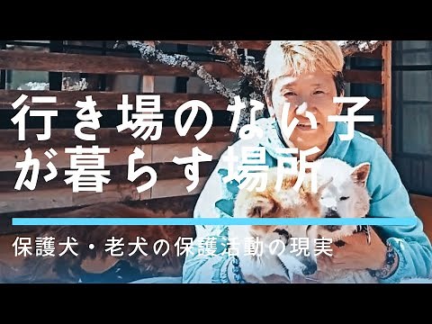 行き場のない子が暮らす場所 奈良県にある保護犬・保護猫シェルター【Protect you】代表 岸田真紀さん密着ドキュメント