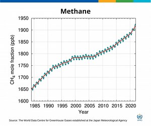 5 solutions you may not know about that could help address climate change