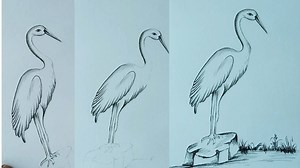 9.5K views · 245 reactions | Easy and simple crane drawing | Easy crane bird drawing | Priyanka creative guru | Facebook