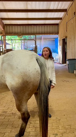 1M views · 9.5K reactions | English Vs Western Horse People!  #horses #horse #reels #horsesofinstagram #reelsvideo #reelsviral #fypシ #fyp #horsebackriding #funny #lol #shorts #animals #omg #instagood #instagood #animallover | The Wild Adventure Girls | Facebook