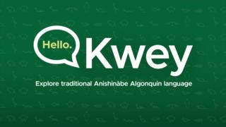 3K views · 29 reactions | Introducing the Algonquin College Kwey...