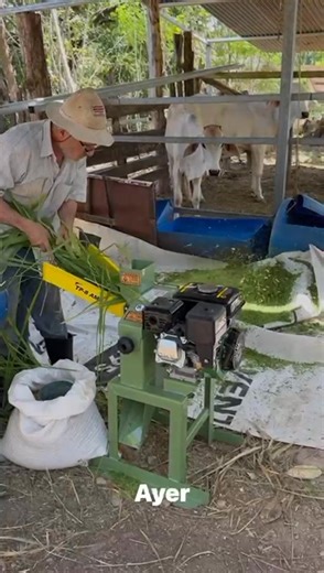 62K views · 846 reactions | 朗Triturador Picador TP8AMG Ideal para pequeños productores, funciona como picadora de pasto y como molino para maíz, granza de arroz etc. Consultas a los teléfonos ☎️2452-0517 /6186-9808 | Altelecsa | Facebook