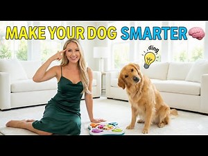 🧠 10 Brain Games That Make Your Dog Smarter in Just 10 Minutes a Day