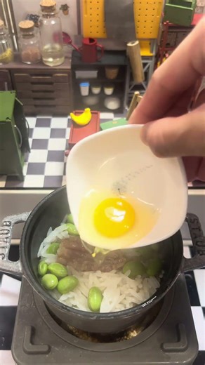 Mini kitchen cooking chinese sausage rice
