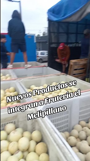 Fruit Packing and Handling at Melipilano Market